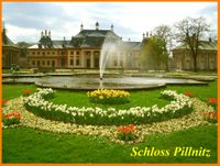 Schloss Pillnitz-r